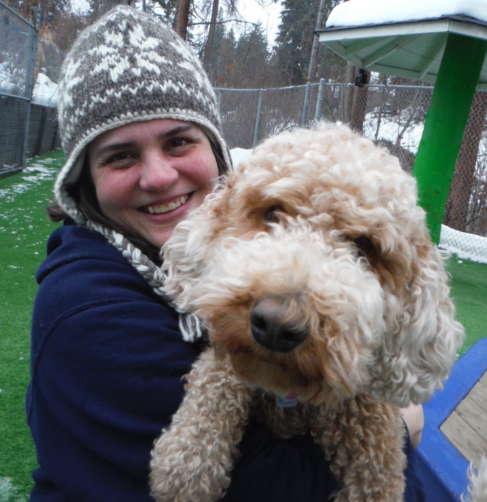 Caramel Woofy World Kennels Dog of the Week